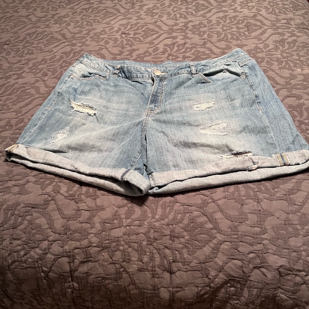 Lane Bryant weekend shorts